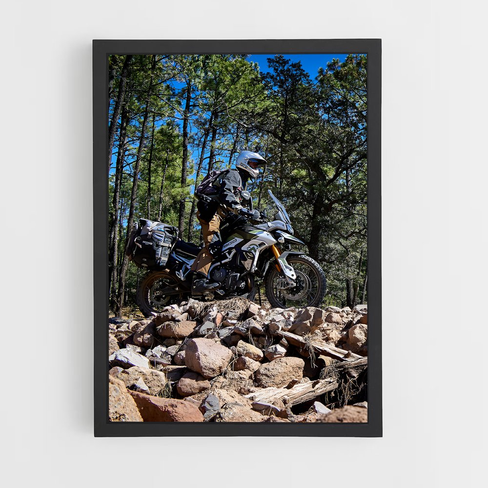 Poster majestueux Tiger rally – affiche Triumph (vue 2)
